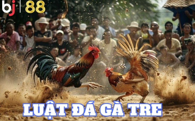 luật đá gà tre Luật đá gà tre được quy định rõ ràng và cụ thể trên hệ thống