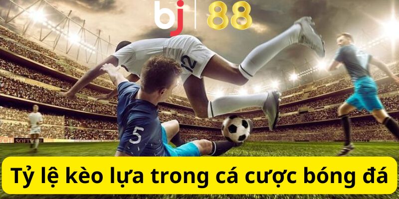 Giới Thiệu Về Kèo Lựa Và Hướng Dẫn Cách Chọn Kèo Cực Chuẩn Tỷ lệ mỗi loại trong cá cược bóng đá
