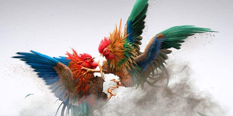 cac bcp1 cp2 cp3 noi cac chien ke tranh tai quyet liet anh dai dien