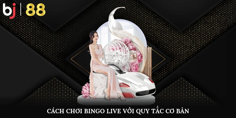 Cách Chơi Bingo Live - Khám Phá Tất Tần Tật Về Game Cách chơi Bingo Live với quy tắc cơ bản